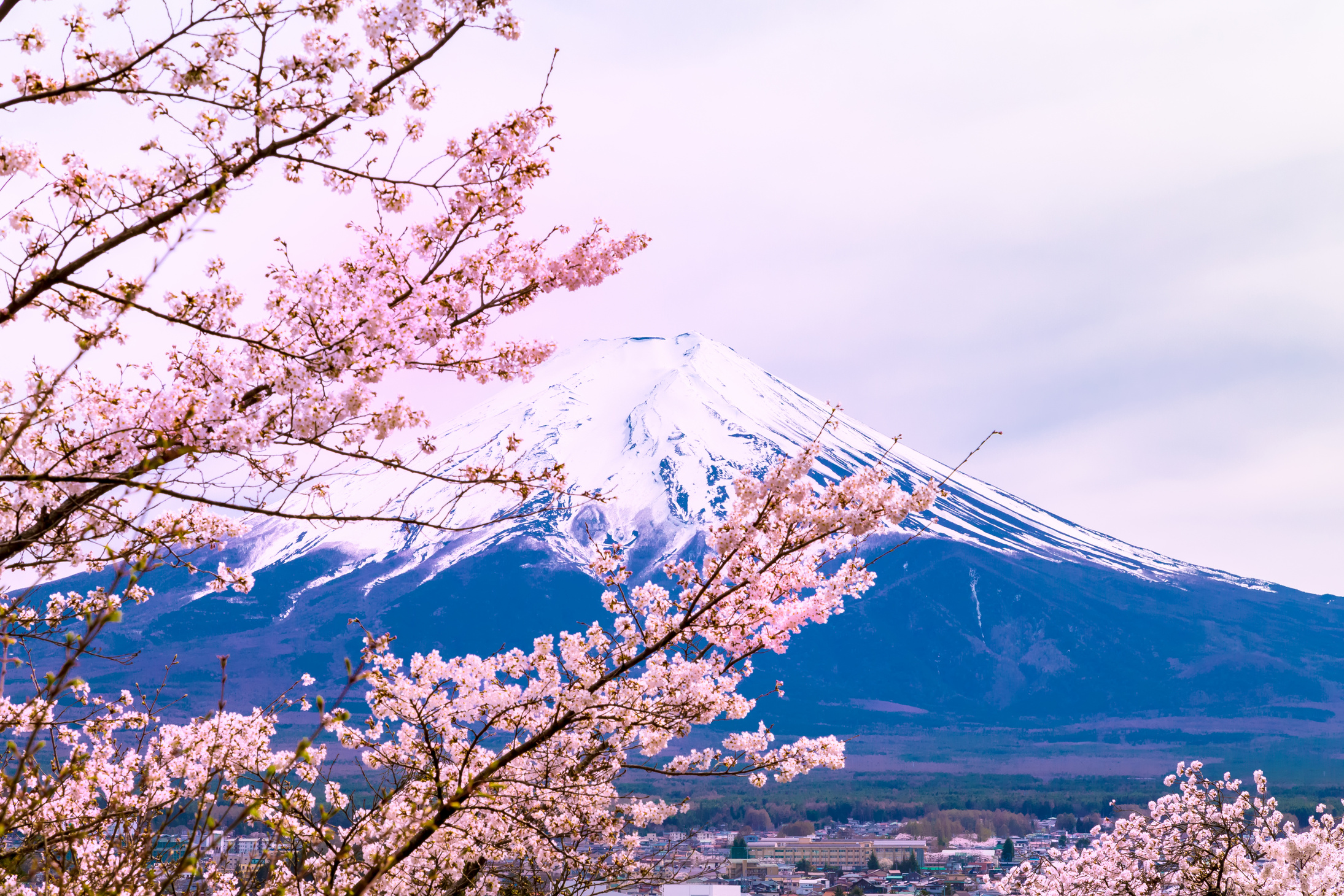 Mount Fuji